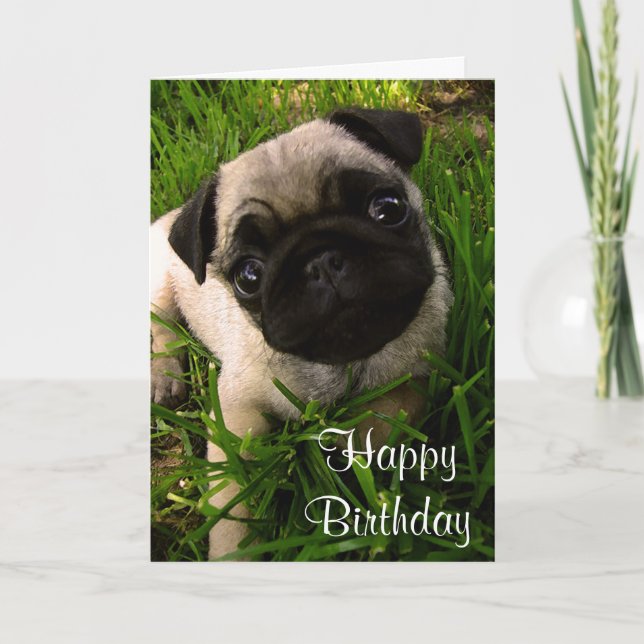Bonne carte de voeux pour Carlin d'anniversaire Ch (Devant)