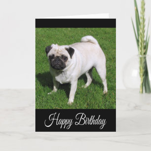 Bonne carte de voeux pour Carlin d'anniversaire Ch