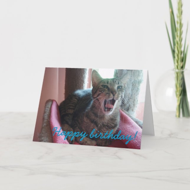 Bonne carte de voeux pour chat d'anniversaire (Devant)
