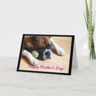 Bonne carte de voeux pour chien de boxe de la Fête