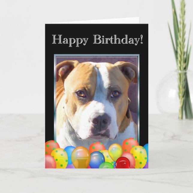 Bonne carte de voeux pour chien pitbull d'annivers (Devant)