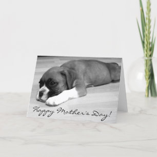 Bonne carte de voeux pour chiot de la Boxer Fête d