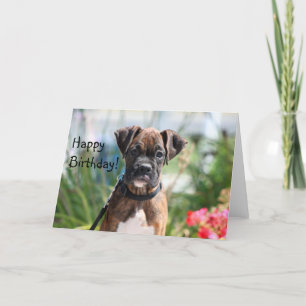 Bonne carte de voeux pour la boîte d'anniversaire