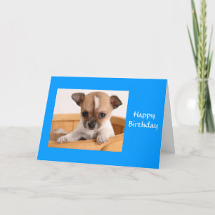 Bonne carte de voeux pour l'anniversaire Chihuahua