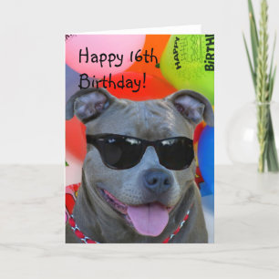 Bonne carte de voeux pour l'anniversaire Pitbull