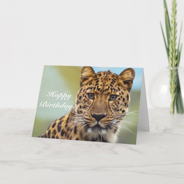 Bonne carte de voeux pour le léopard d'anniversair (Devant)