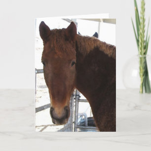 Bonne carte d'évaluation du sens du cheval - Ouest