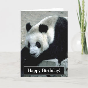 Bonne carte d'ours Panda Anniversaire