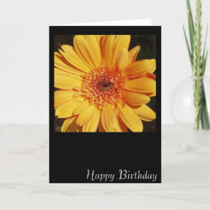 Bonne carte Gerbera d'anniversaire