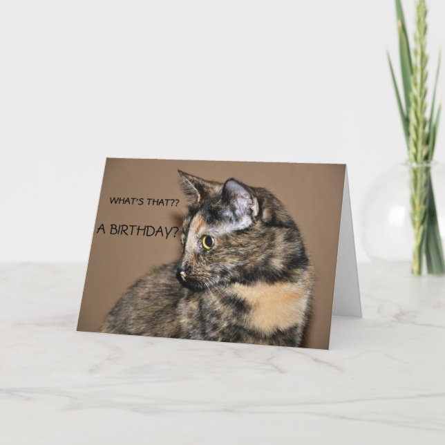 Bonne carte Kitty Anniversaire (Devant)