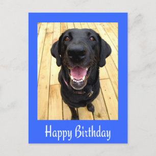 Bonne carte postale d'anniversaire Black Labrador 