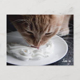 Bonne carte postale de chat