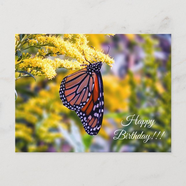 Bonne carte postale de papillon Monarque d'anniver (Devant)