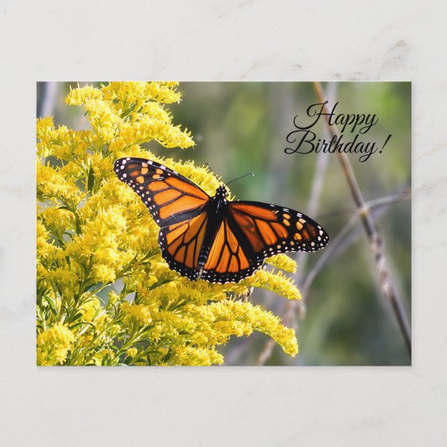 Bonne carte postale de papillon Monarque d'anniver (Devant)