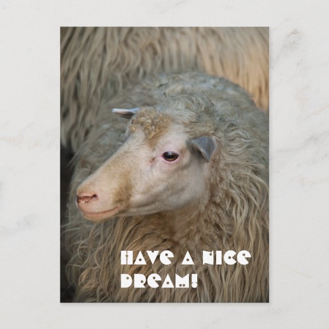 Bonne carte postale Dream (Devant)