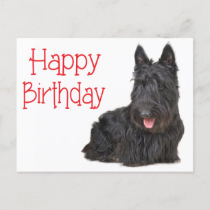 Bonne carte postale écossaise Terrier Puppy