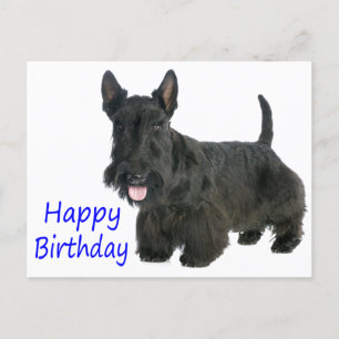 Bonne carte postale écossaise Terrier Puppy