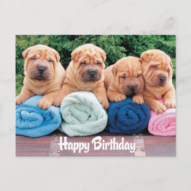 Bonne carte postale pour chien chiot chinois Shar  (Devant)