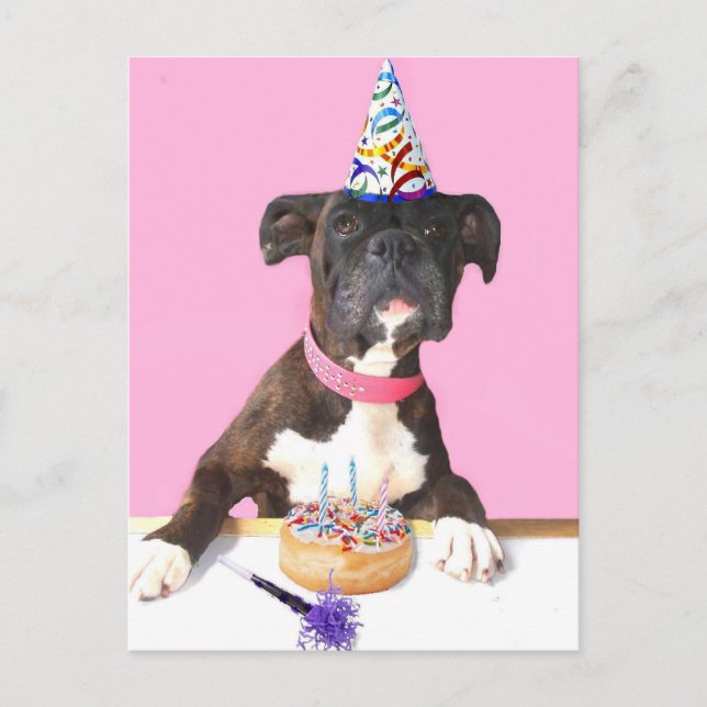 Bonne carte postale pour chien de boîte d'annivers (Devant)