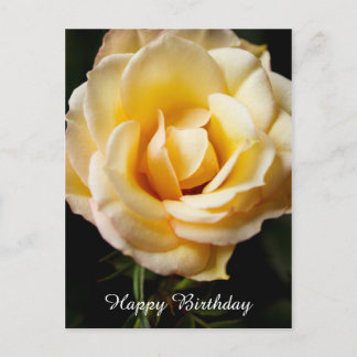 Bonne carte postale Rose d'anniversaire