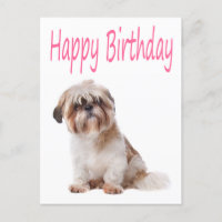 Bonne carte postale Shih Tzu Puppy pour anniversai
