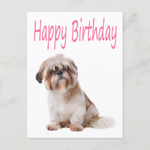 Bonne carte postale Shih Tzu Puppy pour anniversai