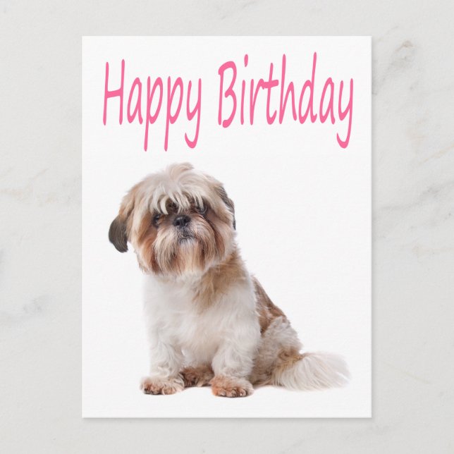 Bonne carte postale Shih Tzu Puppy pour anniversai (Devant)