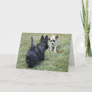 Bonne carte Scottish Terrier & Friend
