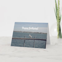 Bonne carte Seagull anniversaire