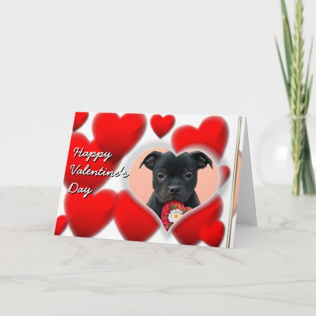 Bonne carte Valentine's Staffordshire Bull Terrier (Devant)