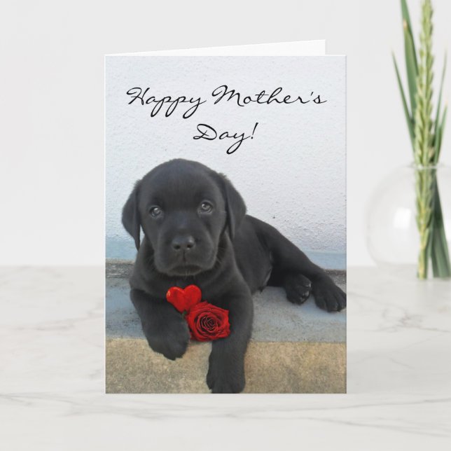 Bonne fête des mères Carte de chiot Labrador (Devant)
