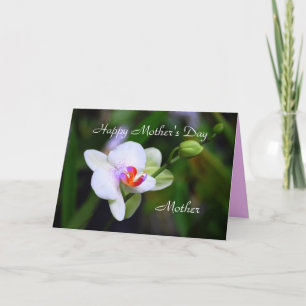 Bonne fête des mères Carte d'orchidée Phalaenopsis