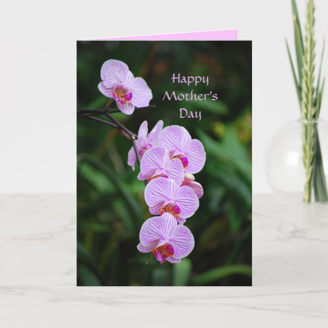 Bonne fête des mères Carte orchidée Phalaenopsis v (Devant)