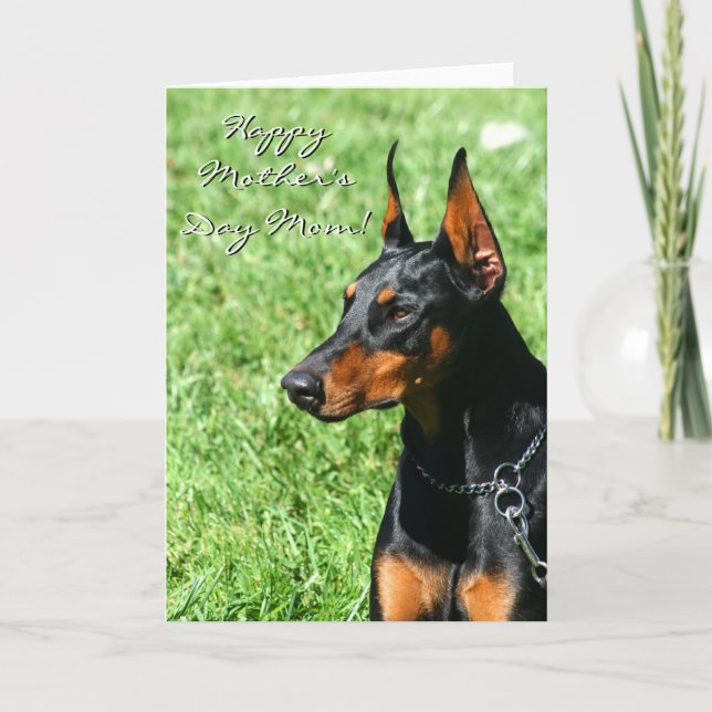Bonne fête des mères maman Doberman carte de voeux (Devant)