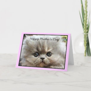 Bonne fête des mères Persian Kitten carte de voeux