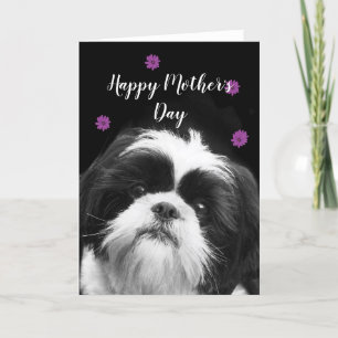 Bonne fête des mères Shih Tzu carte de voeux