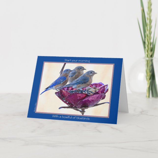 Bonne fête des oiseaux ! Carte : Bowlful of bluebi (Devant)