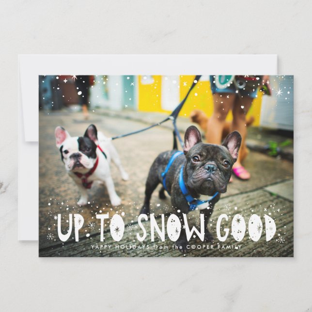 Bonne neige | Carte photo de vacances pour animaux (Devant)