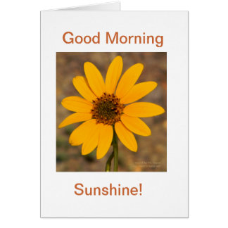 Bonne nuit, Sunshine !