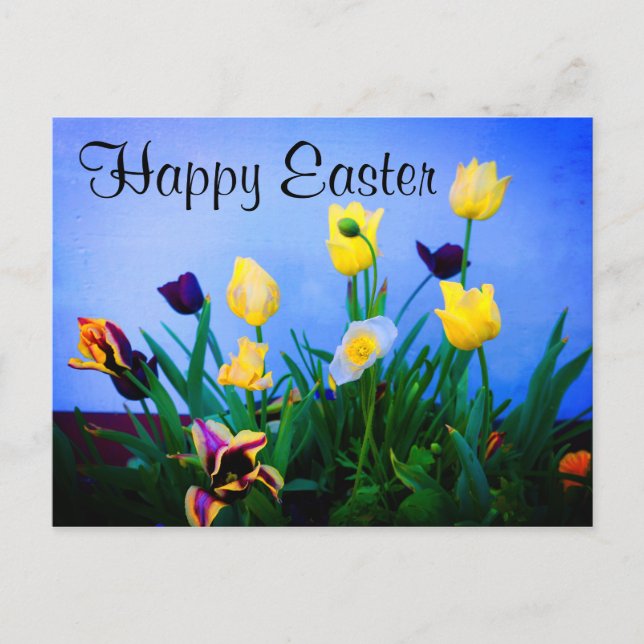 Bonne Pâques Diverses Tulipes #2 Carte Postale (Devant)