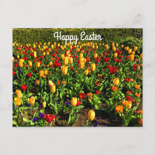 Bonne Pâques Rouge & Tulipes Jaunes #1 Carte posta