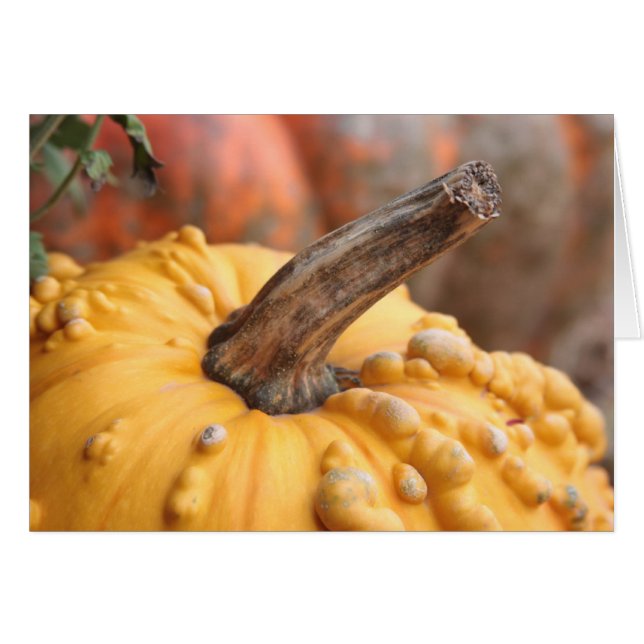 Bonne récolte ! (Devant horizontal)