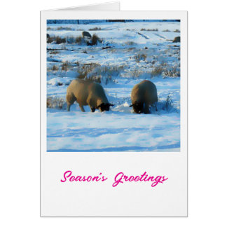 Bonnes Fêtes carte de Noël