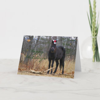 Bonnes fêtes - carte de voeux d'Annie
