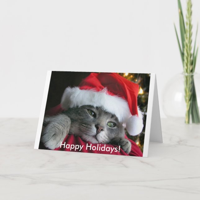 Bonnes fêtes ! Carte mignonne de chaton (Devant)