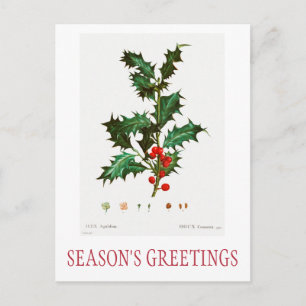 BONNES FÊTES CARTE POSTALE NOËL