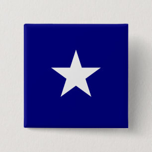 Bonnie Blue Flag 2 Inch Square Button