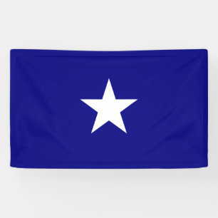 Bonnie Blue Flag Banner