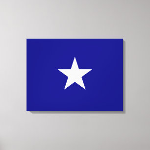 Bonnie Blue Flag Canvas Print