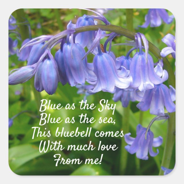 Bonnie Bluebell With Love Square Sticker (Front)
